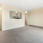 Rent 1 bedroom apartment in Windsor, ON