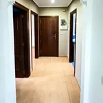 Rent 3 bedroom apartment in Bilbao