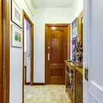 Rent 1 bedroom apartment in Madrid