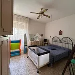 Rent 3 bedroom apartment of 80 m² in Roma