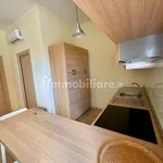 Rent 3 bedroom apartment of 80 m² in Bari