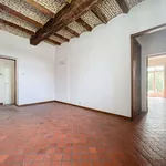 Rent 4 bedroom house of 1078 m² in Thieusies