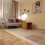 Rent 2 bedroom apartment of 55 m² in Mainz