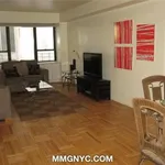 Rent 1 bedroom apartment in New York