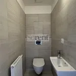 Rent 3 bedroom apartment of 73 m² in České Budějovice