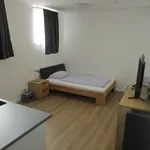 Miete 1 Schlafzimmer wohnung von 32 m² in Hanover