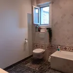 Huur 1 slaapkamer appartement in Antwerpen