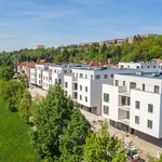 Rent 3 bedroom apartment of 78 m² in Zlín