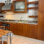 Rent 3 bedroom apartment of 111 m² in Brugherio