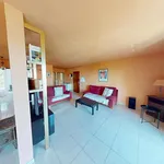 Rent 3 bedroom apartment of 82 m² in Toulouse