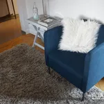 Rent 1 bedroom apartment of 29 m² in Wiesbaden