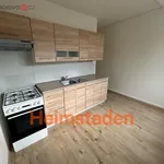 Rent 3 bedroom apartment of 56 m² in Karviná