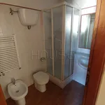 Rent 2 bedroom apartment of 55 m² in Città di Castello