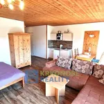 Rent 1 bedroom apartment in Harrachov