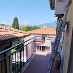 Rent 3 bedroom apartment of 75 m² in Pisa