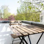 Rent 1 bedroom apartment of 65 m² in berlin