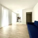 Rent 1 bedroom apartment of 31 m² in Budapest