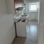 Rent 1 bedroom apartment in Přerov