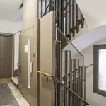 Alquilar 2 dormitorio apartamento en Madrid