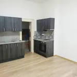 Rent 2 bedroom apartment in Praha 3