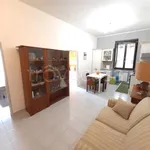 Rent 3 bedroom apartment of 62 m² in Tarquinia