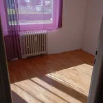 Rent 2 bedroom apartment in Brno