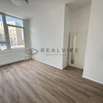 Pronajměte si 2 ložnic/e byt o rozloze 39 m² v České Budějovice