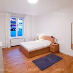 Miete 1 Schlafzimmer wohnung von 60 m² in Berlin