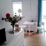 Rent 1 bedroom apartment of 38 m² in Frankfurt