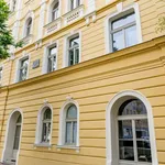 Rent 1 bedroom apartment of 30 m² in Praha 7 - Holešovice