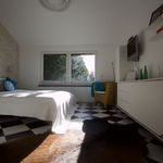Miete 1 Schlafzimmer wohnung von 45 m² in Neuss