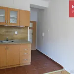 Rent 1 bedroom apartment in Opava