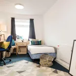 Rent 1 bedroom apartment in Exeter