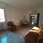 Rent 5 bedroom apartment of 100 m² in Bologna