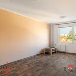 Rent 3 bedroom apartment in Pilsen