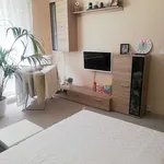 Pronajměte si 1 ložnic/e byt o rozloze 34 m² v Litovel