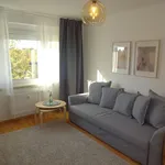 Rent 2 bedroom apartment of 49 m² in Leipzig