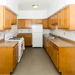 Rent 1 bedroom apartment in Chicago