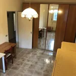 Rent 4 bedroom apartment of 120 m² in Roma