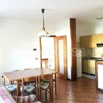 Rent 4 bedroom apartment of 75 m² in Legnaro