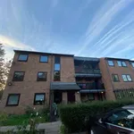 Rent 1 bedroom flat in Leicester