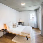 Miete 2 Schlafzimmer studentenwohnung von 14 m² in Frankfurt am Main