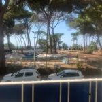 Affitto 2 camera appartamento di 40 m² in Follonica