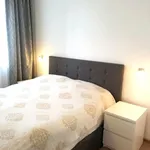 Rent 2 bedroom apartment of 50 m² in Wrocław