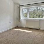 Rent 3 bedroom house in Birmingham