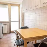 Rent 4 bedroom apartment in Rome