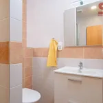 Pronajměte si 1 ložnic/e byt o rozloze 45 m² v Prague