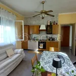 Rent 1 bedroom apartment of 55 m² in Venezia