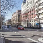 Rent a room of 302 m² in madrid