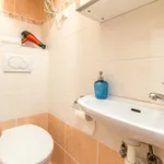 Rent 1 bedroom apartment of 35 m² in Prague